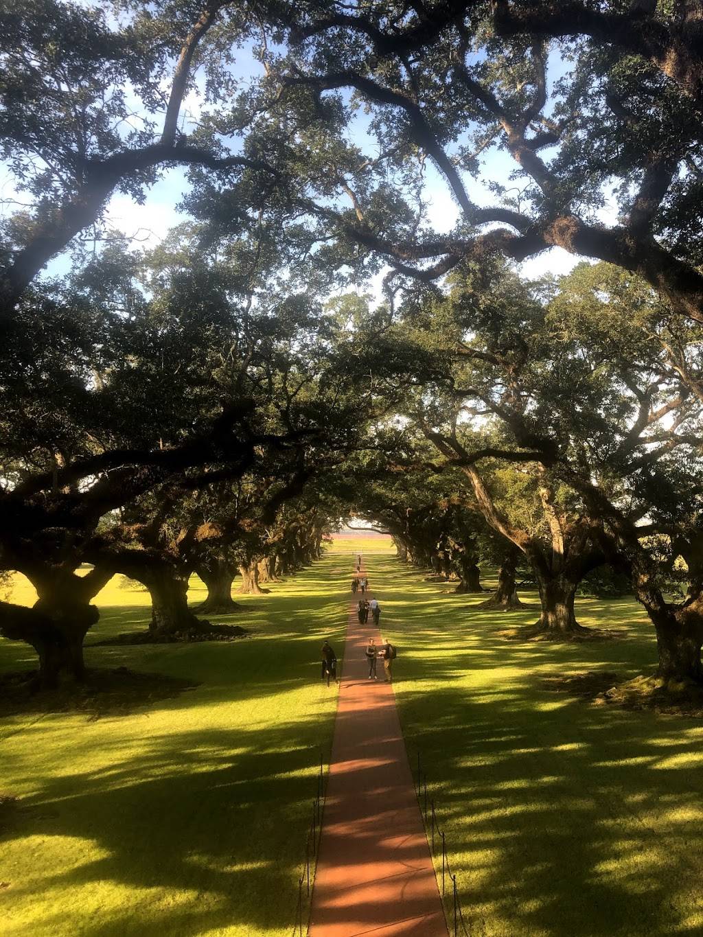 Old River Road Plantation Adventure | 2041 Canal St, New Orleans, LA 70112, USA | Phone: (866) 671-8687