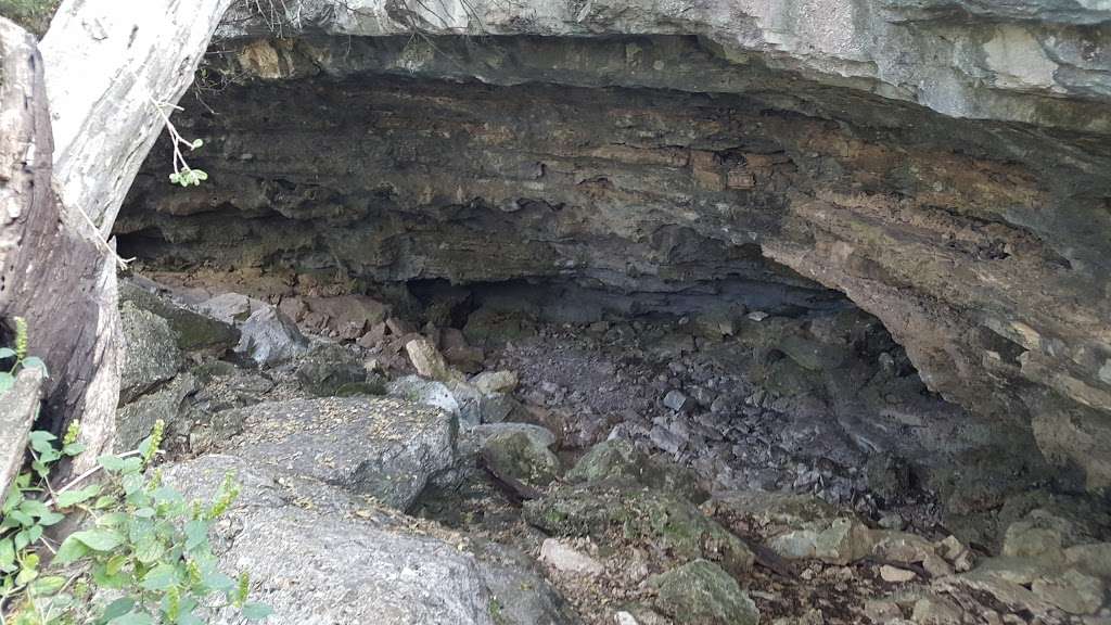 Bear Cave | Autumn Leaves, San Antonio, TX 78258, USA