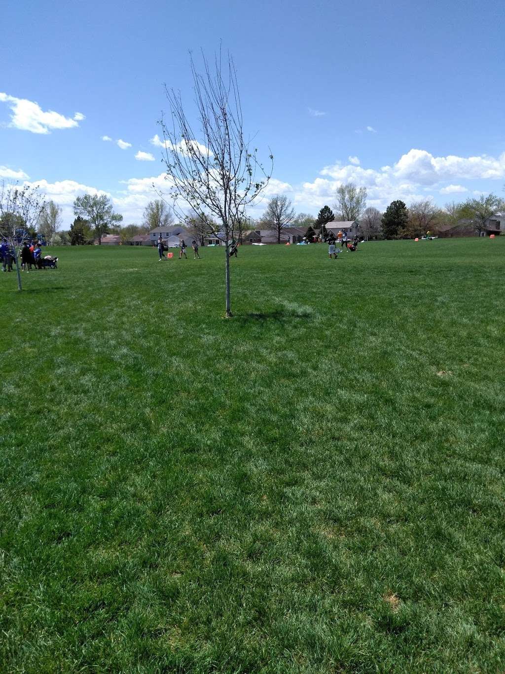 Woodglen Meadows Park | 12602 Bellaire St, Thornton, CO 80241, USA | Phone: (303) 255-7800