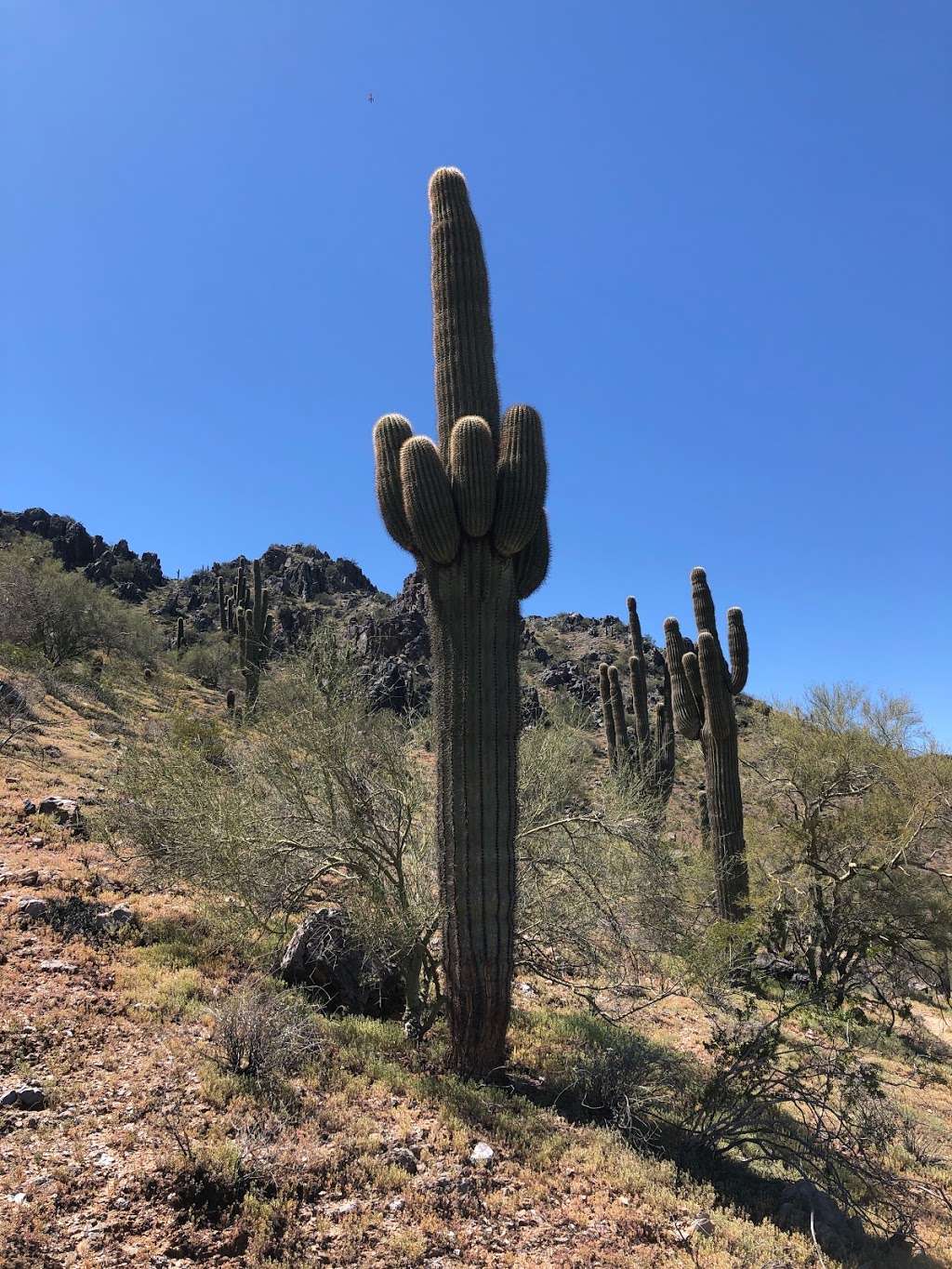 Voaz Trail | Voaz, Phoenix, AZ 85028, USA