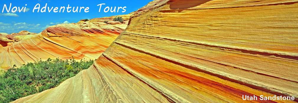 Novi Adventure Tours | 4013, 5320 Sweet William St, North Las Vegas, NV 89081, USA | Phone: (702) 981-0582