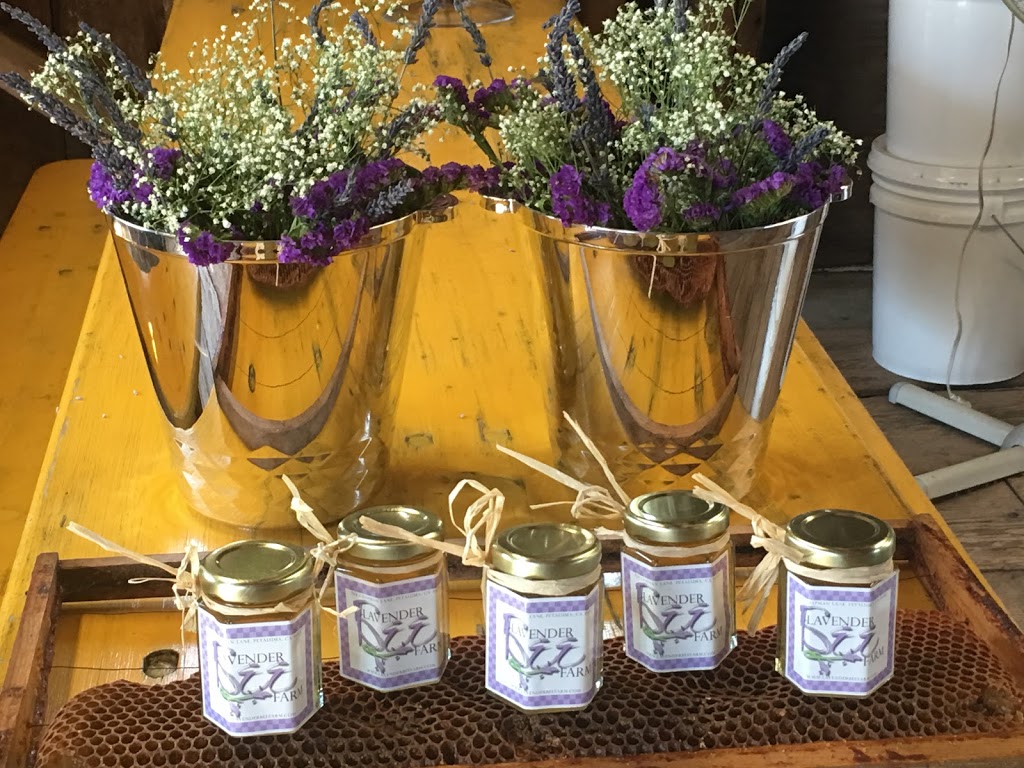 Lavender Bee Farm | 746 Chapman Ln, Petaluma, CA 94952, USA | Phone: (707) 789-0554