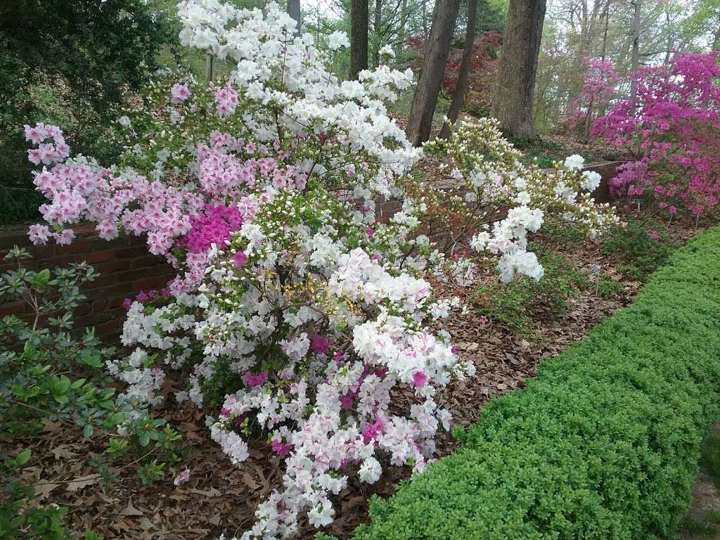 Holly And Magnolia Section, National Arboretum | Holly Spring Rd NE, Washington, DC 20002, USA