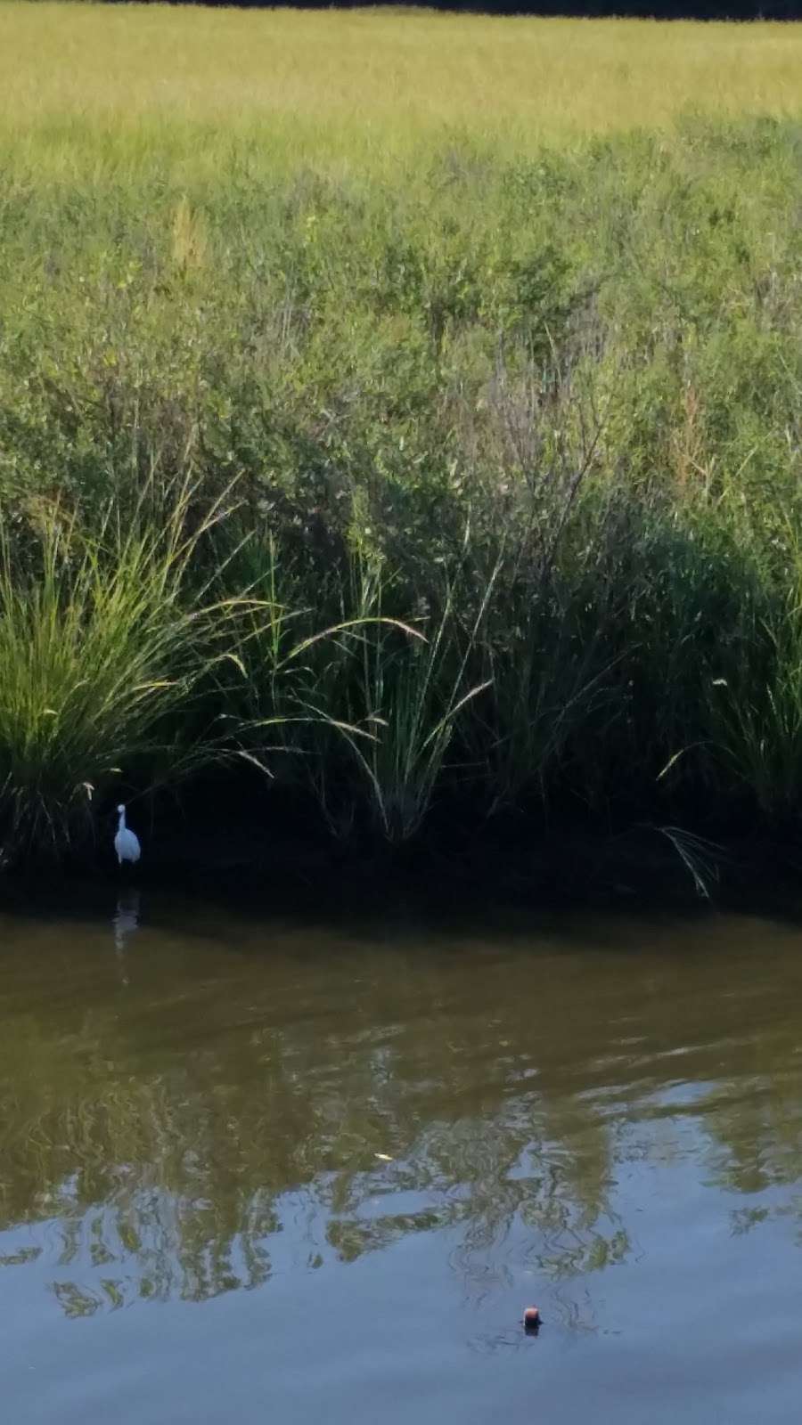 Fishing Creek, Chesapeake Beach Maryland | Chesapeake Beach Railway Trail, Chesapeake Beach, MD 20732, USA