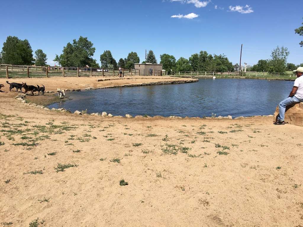 Louisville Community (Dog) Park | 955 Bella Vista Dr, Louisville, CO 80027 | Phone: (502) 876-9416