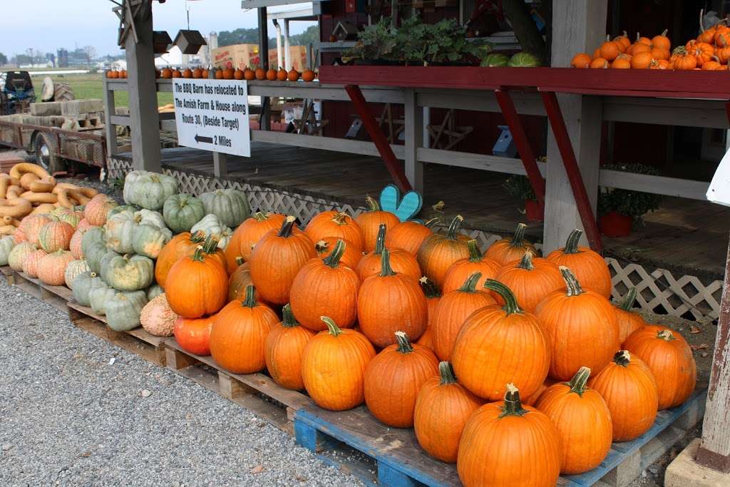 BLUEGATE FARM Homegrown Produce & Homestyle Bakery | 2725 Lincoln Hwy, Ronks, PA 17572, USA | Phone: (717) 617-4310