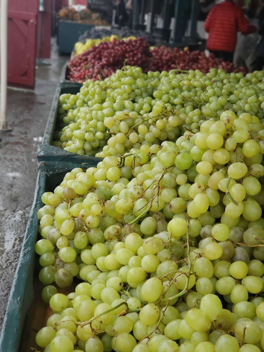 Larrys Produce | 4606 Suisun Valley Rd, Fairfield, CA 94534, USA | Phone: (707) 864-8068