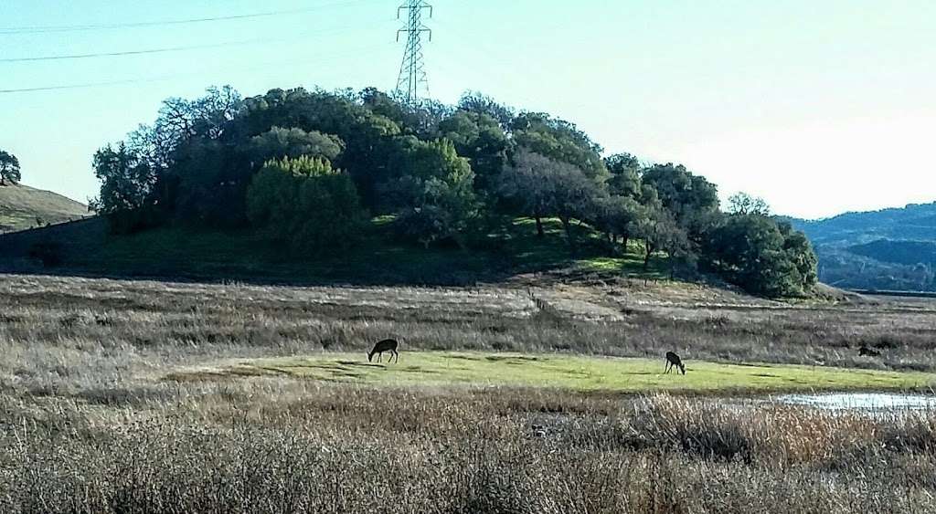 Deer Island Preserve | Novato, CA 94945, USA