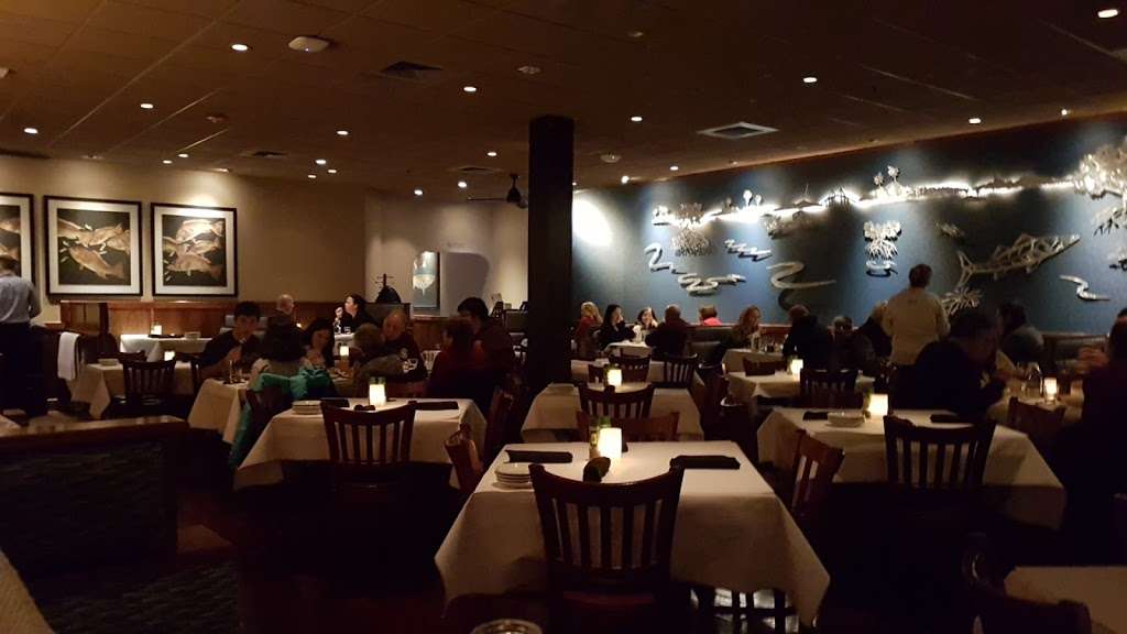 Bonefish Grill | 4889 West Chester Pike, Newtown Square, PA 19073 | Phone: (610) 355-1784