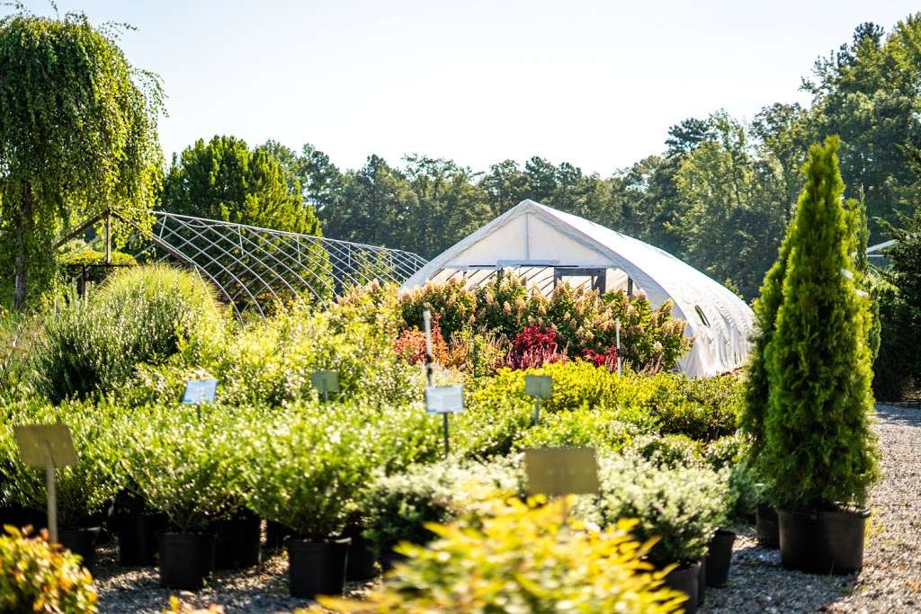 Ashwood Gardens & Nursery | 11374 Ashcake Rd, Ashland, VA 23005, USA | Phone: (804) 798-2280