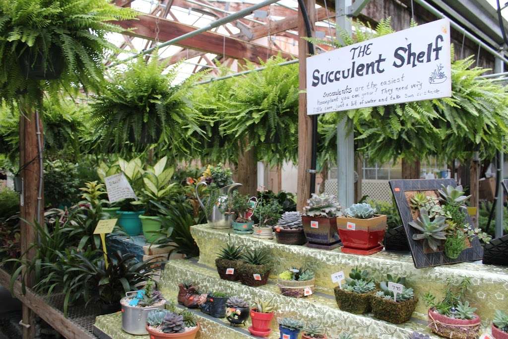 Shady Grove Greenhouse | 122 Little Britain Rd, Nottingham, PA 19362, USA | Phone: (717) 529-3770