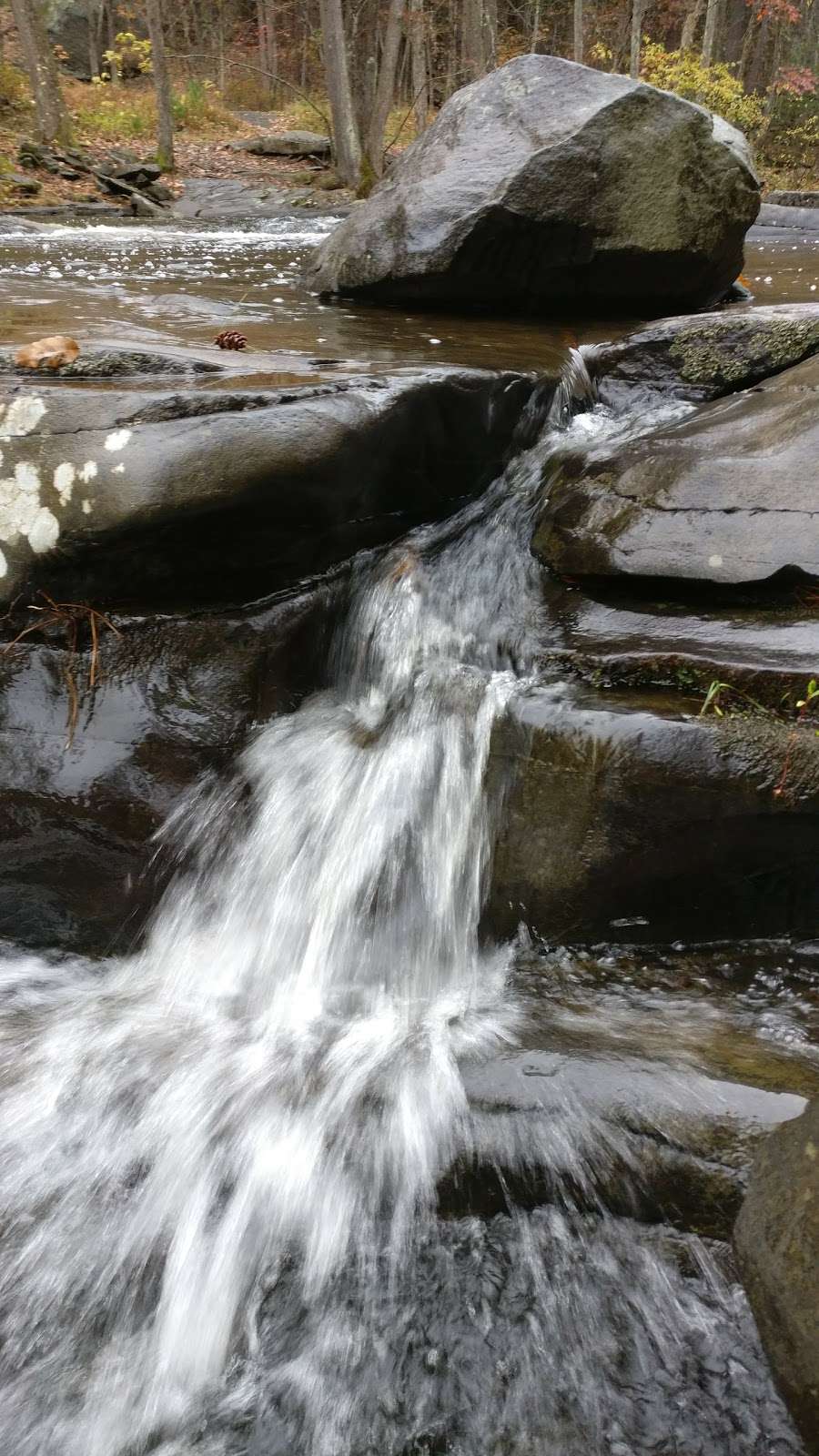 Tusten Mountain Trail | Narrowsburg, NY 12764, USA