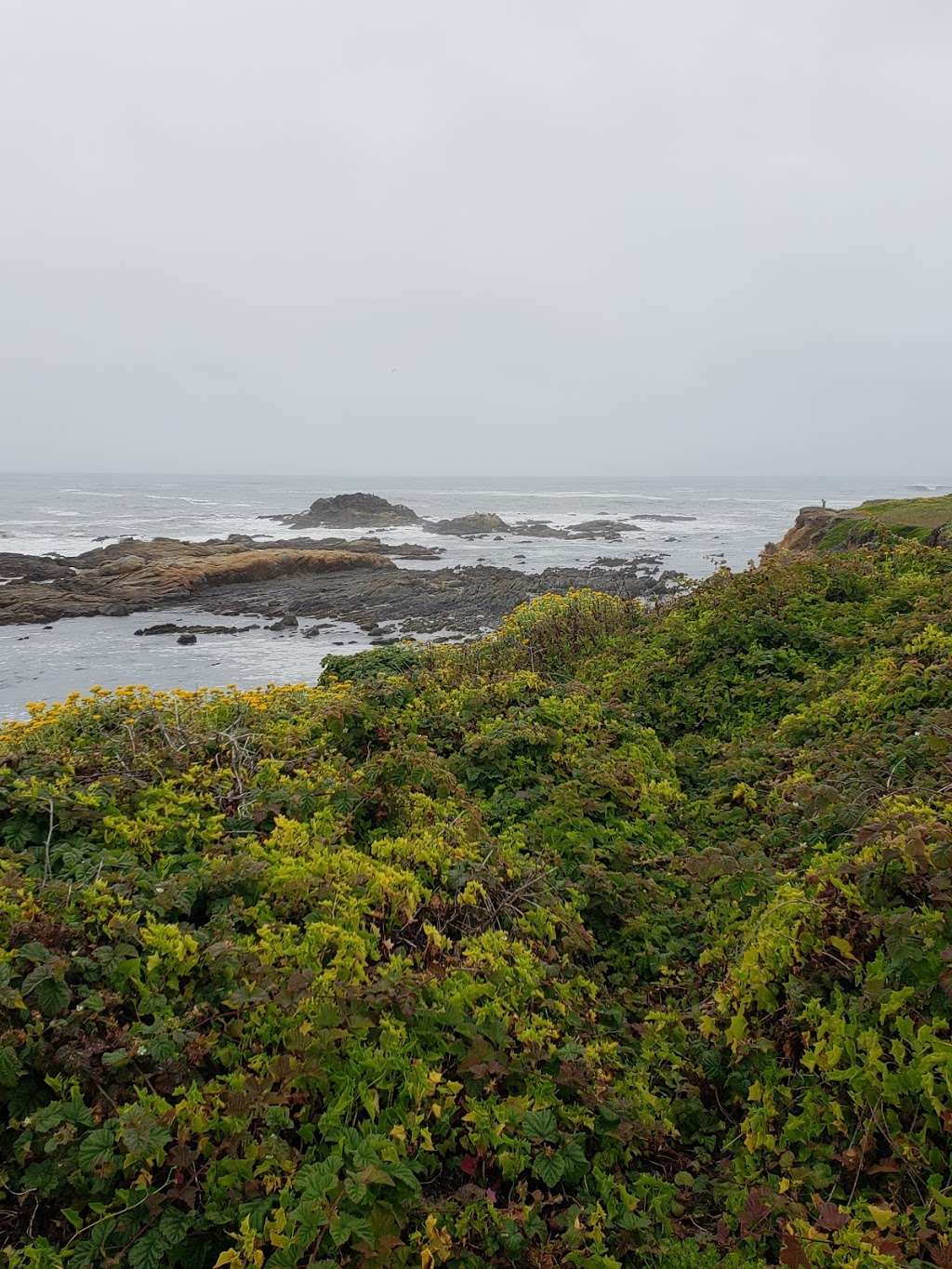 Hwy 1 & Wavecrest Rd | Half Moon Bay, CA 94019, USA