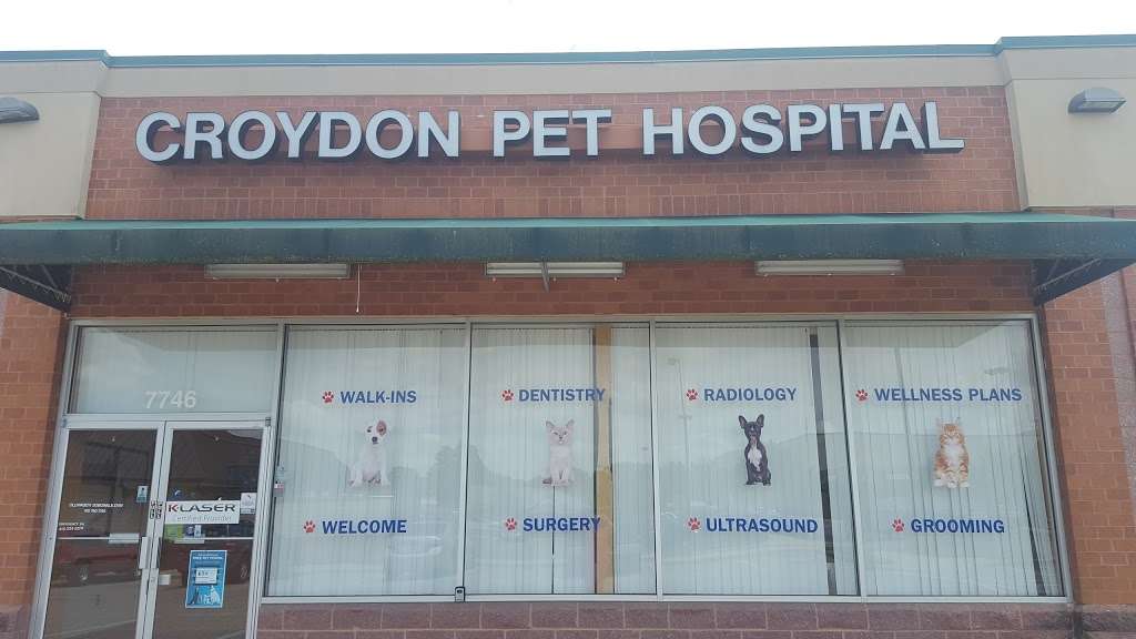 Croydon Pet Hospital | 7746 Ritchie Hwy, Glen Burnie, MD 21061, USA | Phone: (410) 760-1746