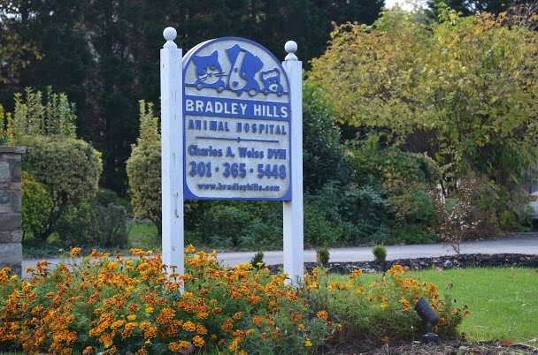 Bradley Hills Animal Hospital | 7210 Bradley Blvd, Bethesda, MD 20817, USA | Phone: (301) 365-5448