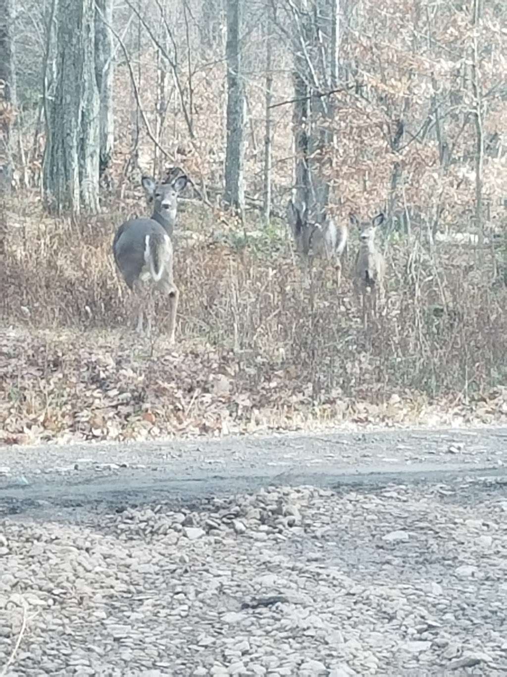 North Branch Land Trust | Spring Brook Township, PA 18444, USA