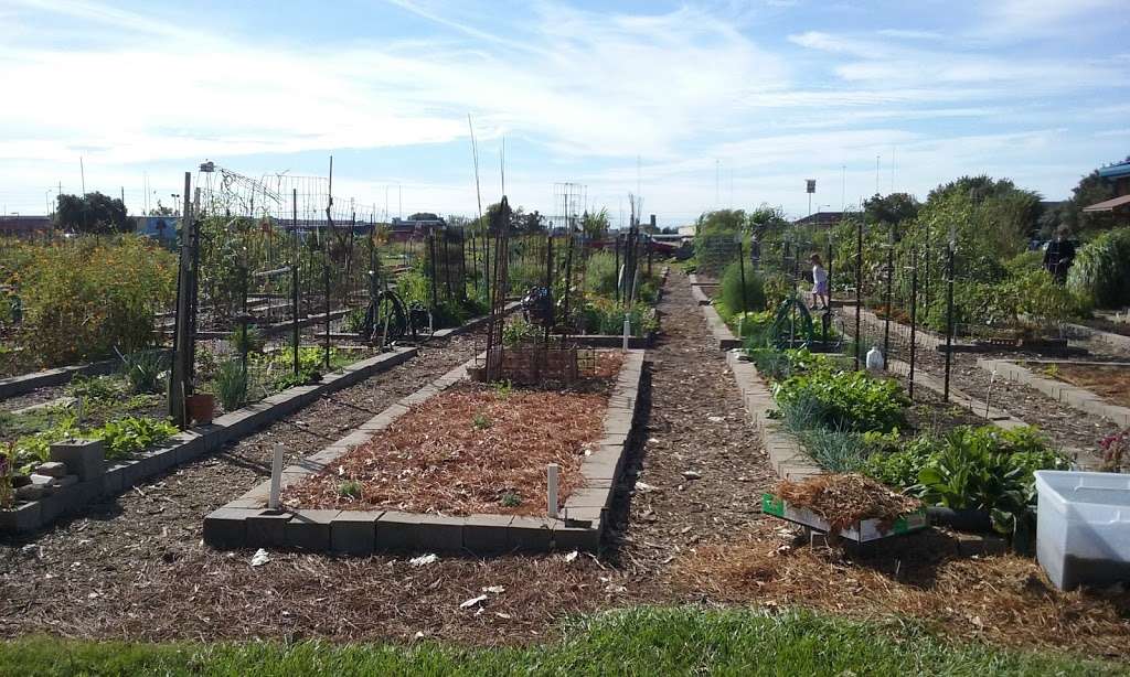 Westbury Community Garden | 12581 Dunlap St, Houston, TX 77035, USA