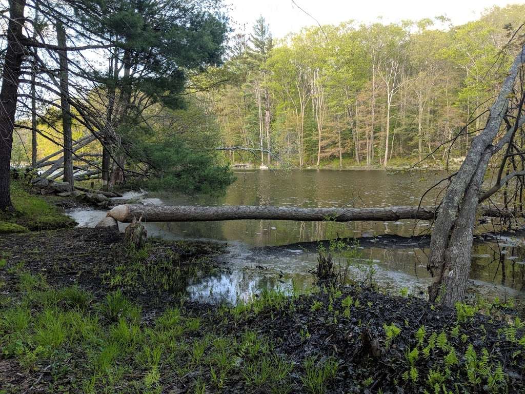 Brewer Brook Dam Trail | 148 Pleasant St, Berlin, MA 01503, USA