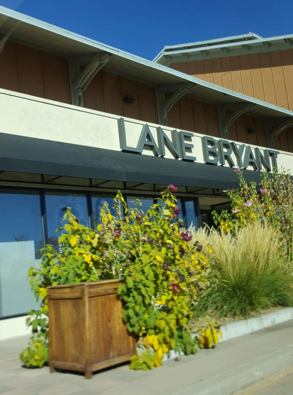 Lane Bryant | 7301 S Santa Fe Dr #230, Littleton, CO 80120, USA | Phone: (303) 209-0235