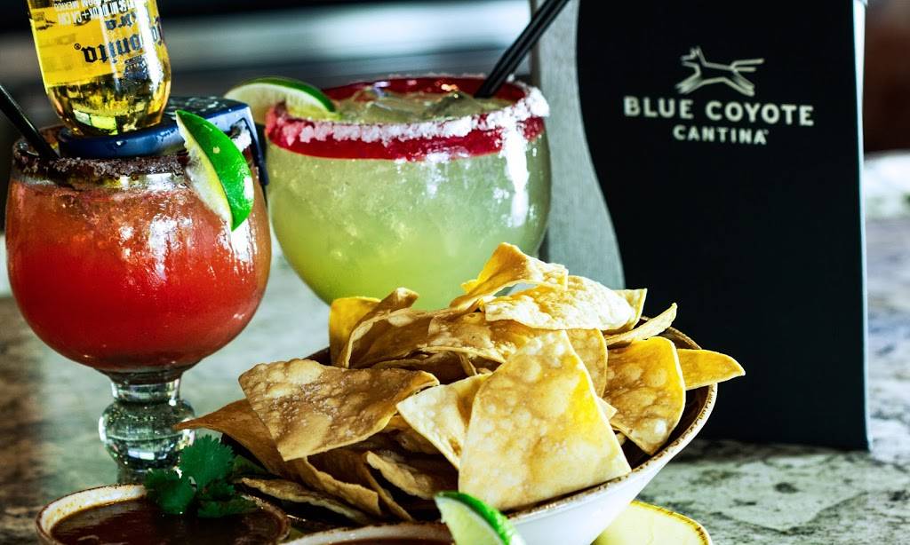 Blue Coyote Cantina | 9800 East Talking Stick Way, Scottsdale, AZ 85256, USA | Phone: (480) 270-6238