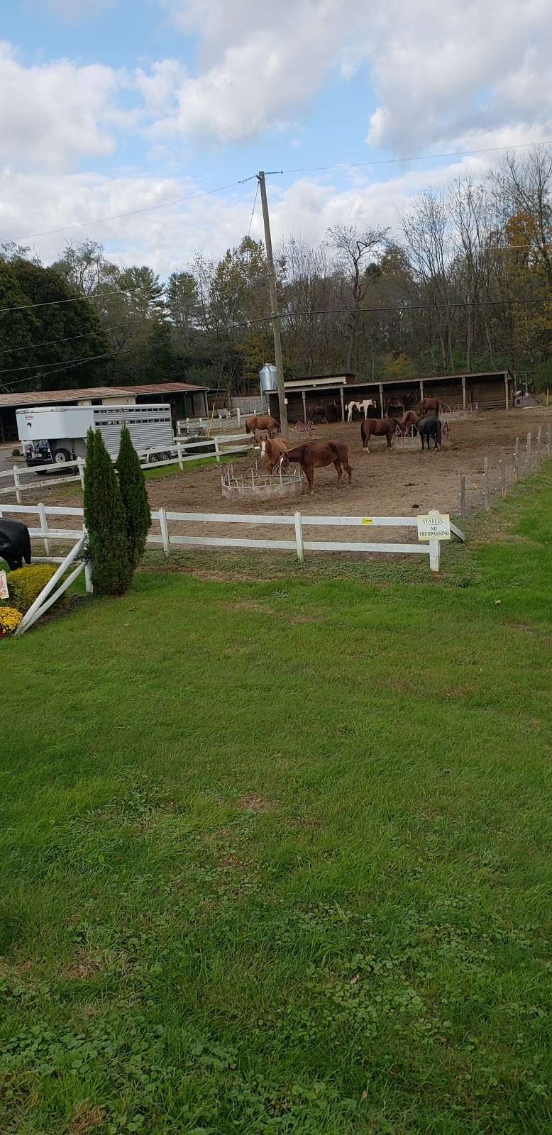 Fernwood Horseback Riding | 5785 Milford Rd, East Stroudsburg, PA 18302, USA | Phone: (888) 337-6966