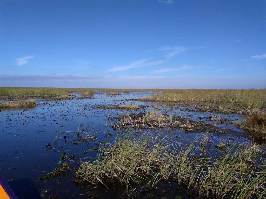 Alligator Alley Butterfly View | Unnamed Road, Tamarac, FL 33321, USA