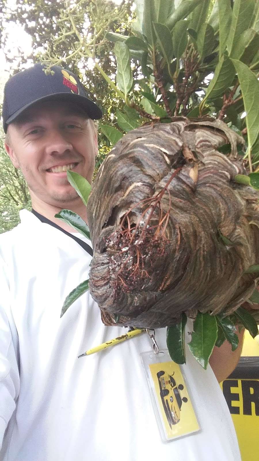 Truly Nolen Pest Termite Control 701 East Blvd Charlotte Nc 28203 Usa