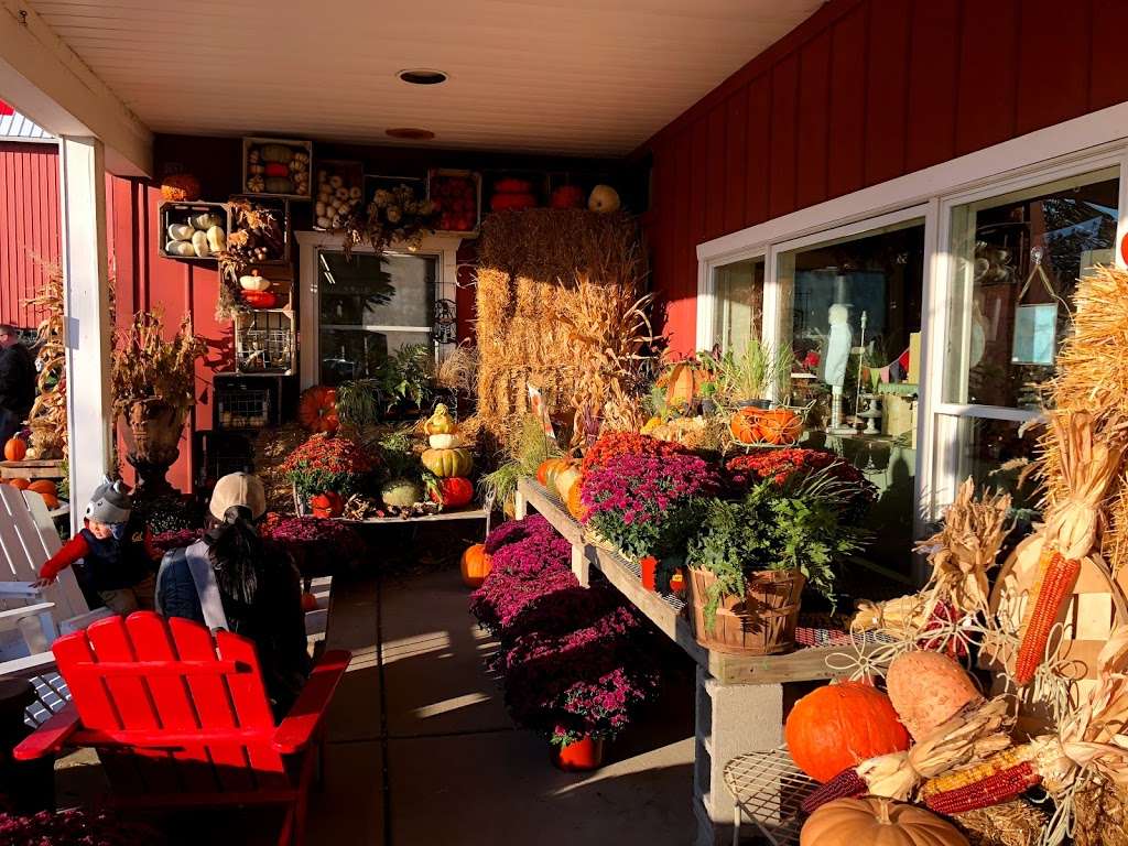 Toms Farm Market | Garden Center | Bakery | Cafe | Gift Shop | 10214 Algonquin Rd, Huntley, IL 60142, USA | Phone: (847) 669-3421