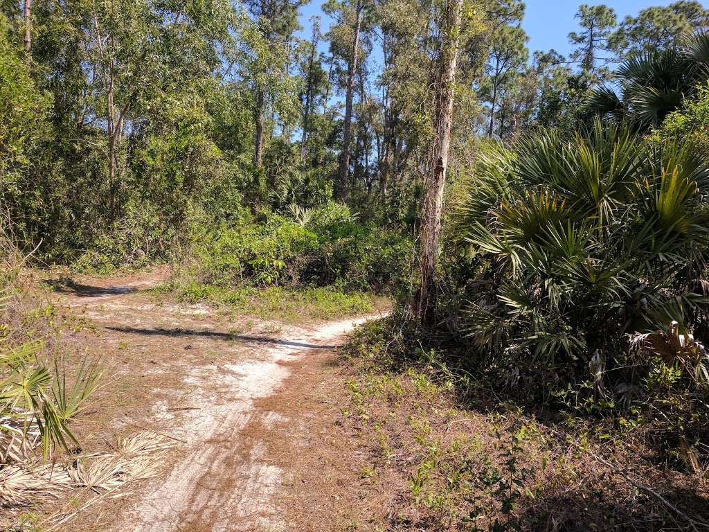 Pinehurst Mountain Bike Trail | 2400 Pinehurst Dr, Greenacres, FL 33413, USA | Phone: (954) 254-9573