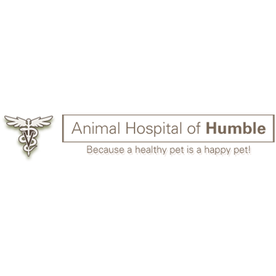 Animal Hospital Of Humble | 3645 FM 1960 Rd. E, Humble, TX 77338, USA | Phone: (281) 812-1960