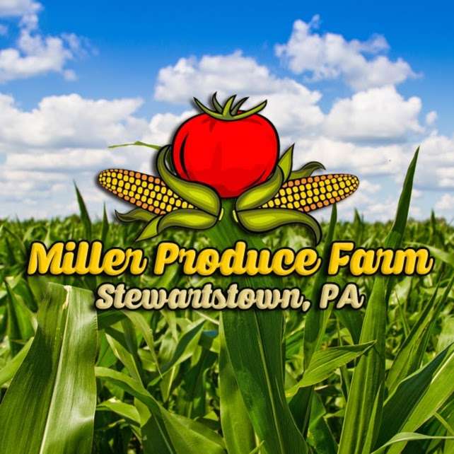 Miller Produce | 14208 Hyson School Rd, Stewartstown, PA 17363, USA | Phone: (717) 586-2082