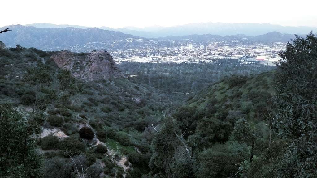 Fern Canyon Trail | Mineral Wells Trail, Los Angeles, CA 90027, USA