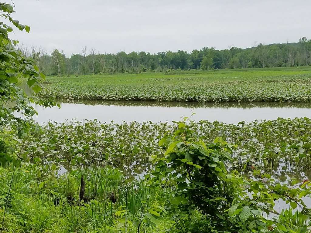 Pohick Bay Regional Park | 6501 Pohick Bay Dr, Lorton, VA 22079 | Phone: (703) 339-6104