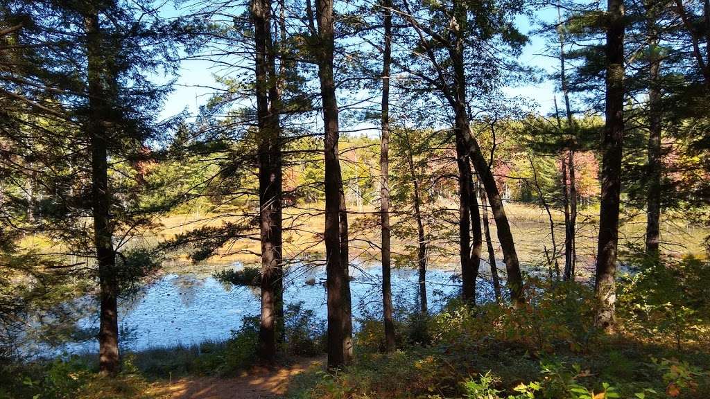 Grater Woods Trail | Gateway Trail, Merrimack, NH 03054, USA