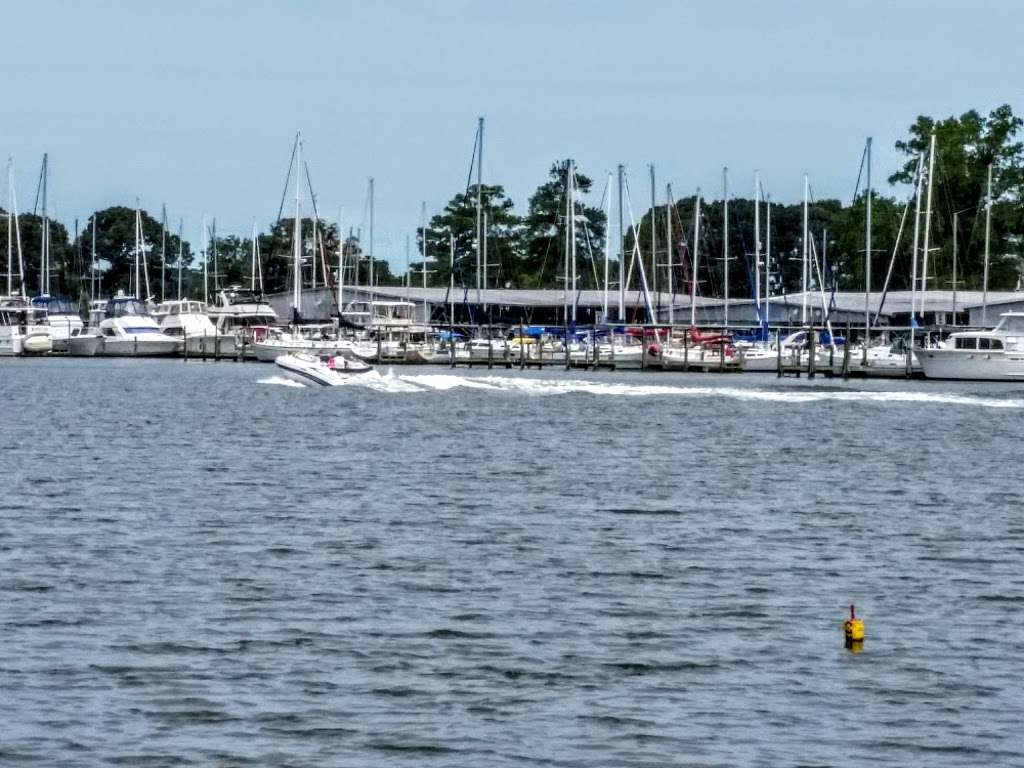Olversons Lodge Creek Marina | 1161 Melrose Rd, Lottsburg, VA 22511, USA | Phone: (804) 529-6868