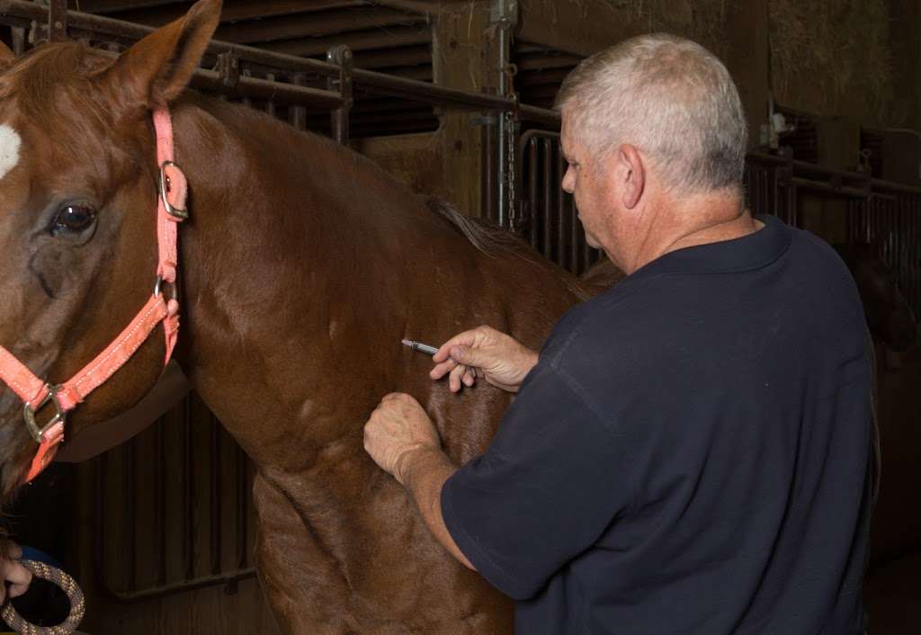 Fox Valley Equine Practice | 1N303 La Fox Road, La Fox, IL 60147, USA | Phone: (630) 365-5600