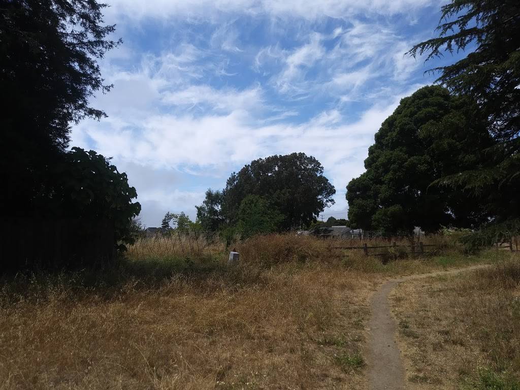 Chanticleer Park Pump Track | 1975 Chanticleer Ave, Santa Cruz, CA 95062