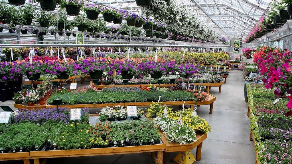 Sam Bridge Nursery & Greenhouses, LLC | 437 North Street, Greenwich, CT 06830, USA | Phone: (203) 869-3418