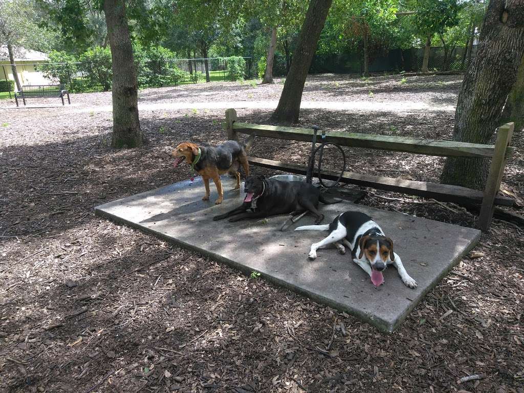Pawmosa Dog Park | Photo 8 of 10 | Address: 426 Plumosa Ave, Casselberry, FL 32707, USA | Phone: (407) 262-7700