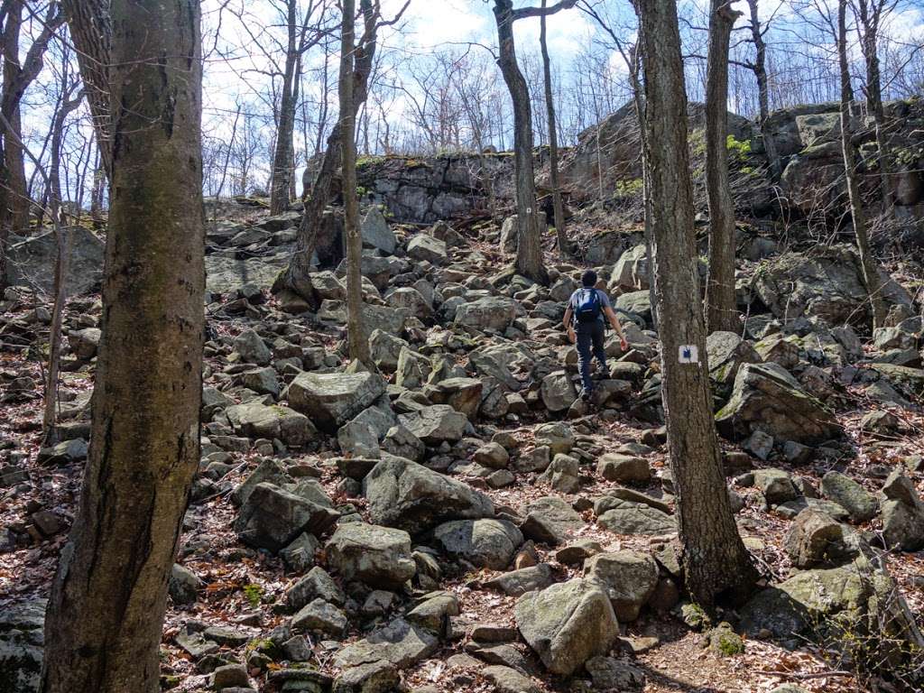 Torne View | Ramapo, NY 10901, USA