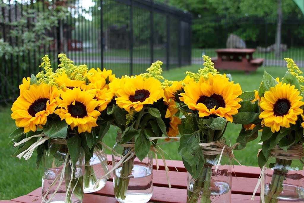 Carousel For All Children | 2 Eton Pl, Staten Island, NY 10314, USA | Phone: (718) 667-2165
