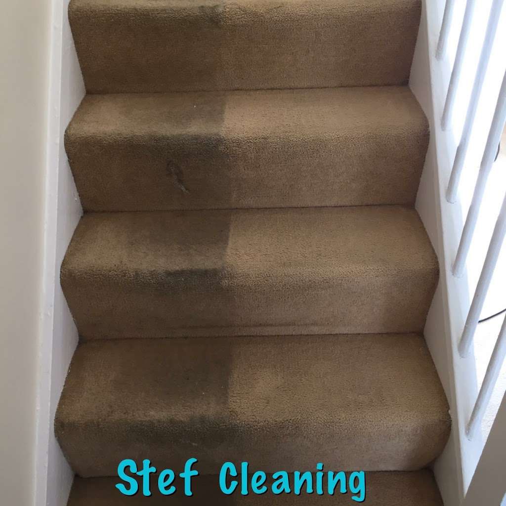 Stef Cleaning Services London | 61 Church Rd, London E10 5JL, UK | Phone: 020 3884 1213