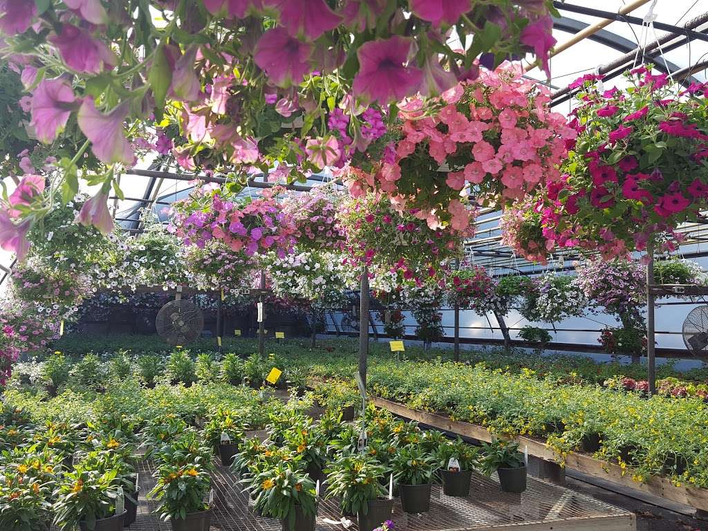 Leptondale Nursery & Greenhouse | 5 Nobles Way, Newburgh, NY 12550, USA | Phone: (845) 564-0466