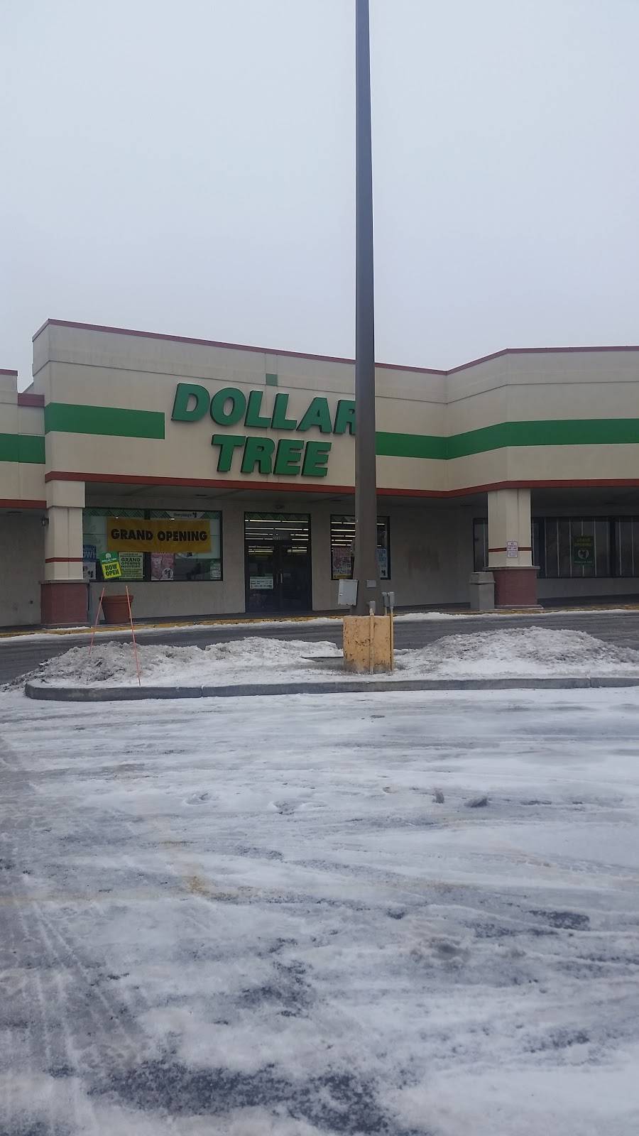 Dollar Tree | 3038 Fish Hatchery Rd, Fitchburg, WI 53713, USA | Phone: (608) 720-2922