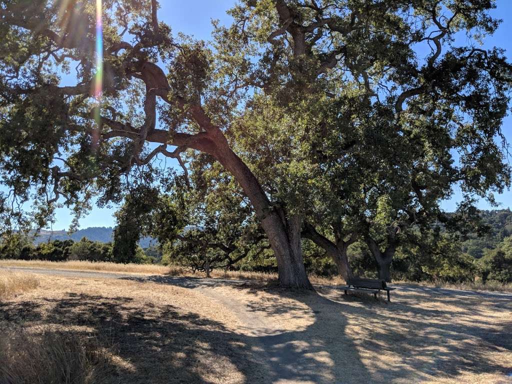 Arastradero Preserve Loop Vista Point | Arastradero Creek Trail, Palo Alto, CA 94304, USA | Phone: (650) 329-2423