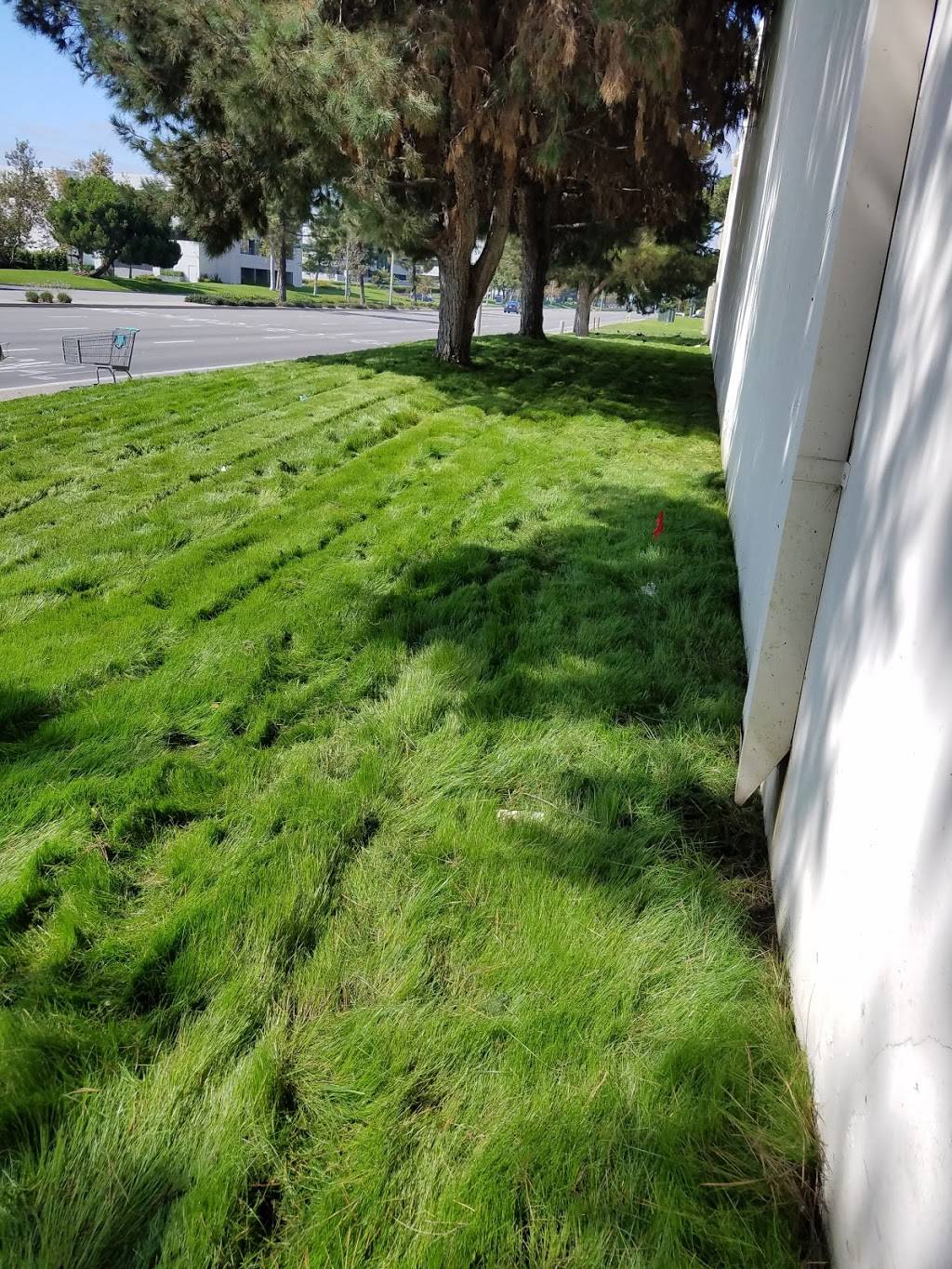 Sanchez gardening servise and Landscape | 2328 W Greenacre Ave, Anaheim, CA 92801, USA | Phone: (714) 783-8457