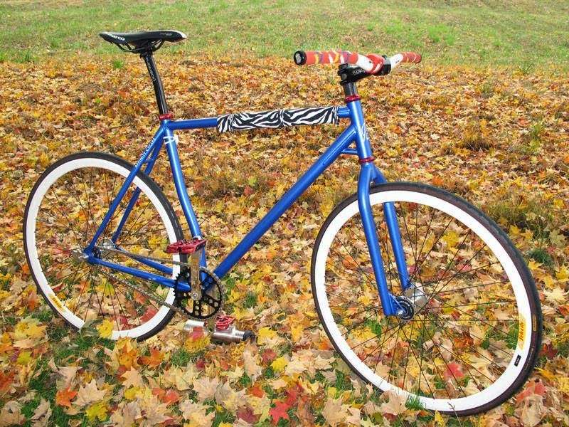 Garrisons Cyclery | 5801 Kennett Pike, Wilmington, DE 19807, USA | Phone: (302) 384-6827
