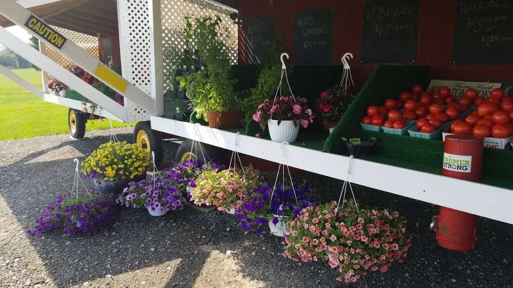 The Farmers Daughter Country Store & Produce Stand | 5235 Hydes Rd, Hydes, MD 21082 | Phone: (410) 592-5267