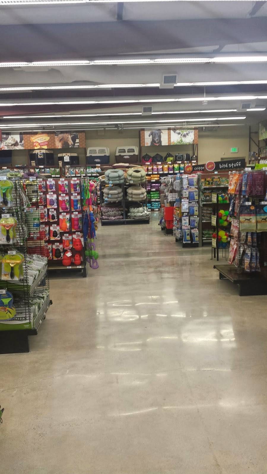 Pet Food Express | 27341 Hawthorne Blvd, Rolling Hills Estates, CA 90274, USA | Phone: (310) 541-4444