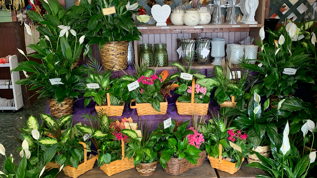 Awesome Blossom Florist | 10203 Culebra Rd #3, San Antonio, TX 78251, USA | Phone: (210) 647-8001